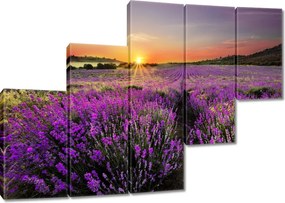 Vászonkép 150x105 Levendulamező Nyugat