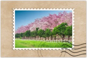 Poszterek 90x60 Cseresznye tájkép