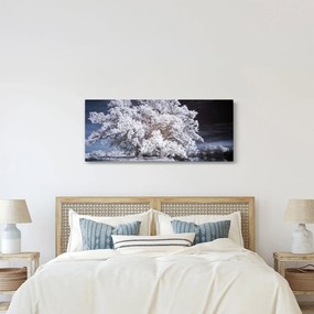 Kép - Hófehérke fa (120x50 cm)