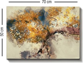 Kanvas vászonkép, 50×70 cm – TR529TCR1325