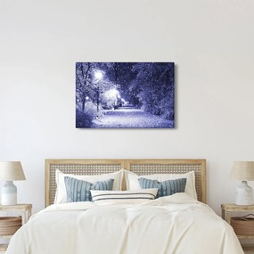 Kép - varázslatos téli éjszaka (90x60 cm)