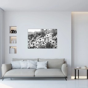 Kép - Százszorszépek (90x60 cm)