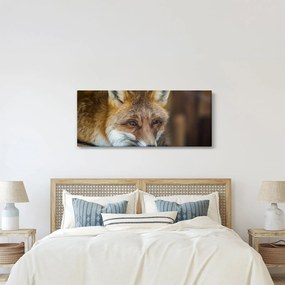 Róka képe (120x50 cm)