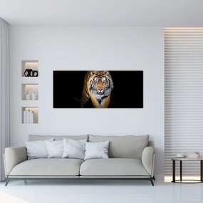 Kép - Tigris (120x50 cm)