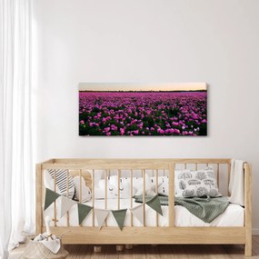 Kép - lila tulipánok rétje (120x50 cm)
