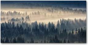 Konyhai panel Köd az erdő felett 100x50 cm Ragasztó