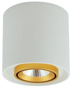 LED Spotlámpa XENO LED/15W/230V fehér 1200lm