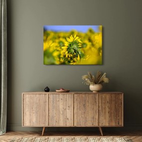 Napraforgó képe (90x60 cm)