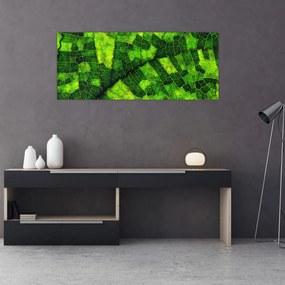 Kép - A lap részlete (120x50 cm)