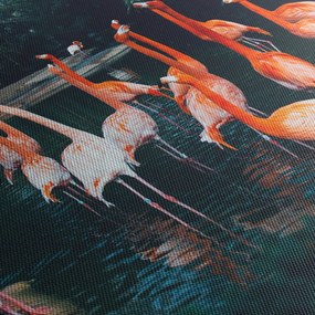 Flamingók csordája (70x50 cm)