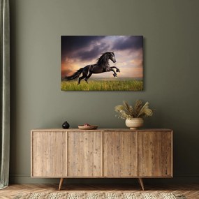 Kép - Lovak (90x60 cm)