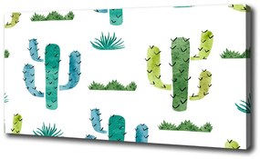 Egyedi vászonkép Kaktuszok oc-112541651