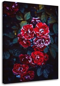 Gario Vászonkép Piros virágok leveles háttérrel Méret: 40 x 60 cm