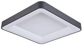 ITALUX 5304-850SQC-BK-4 GIACINTO Négyzetes Mennyezeti Lámpa Fehér, Fekete LED IP20