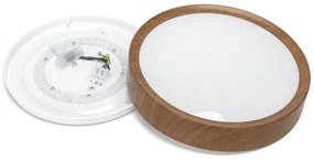 Aigostar - LED Mennyezeti lámpa LED/12W/230V 6500K átm. 26,3 cm