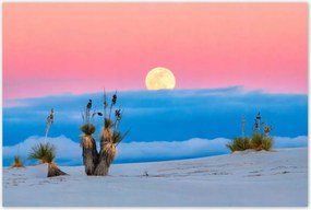 Poszterek 120x80 Kilátás Tájkép