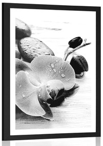 Poszter paszportuval kövek és orchideák varázslatos összjátéka fekete-fehérben