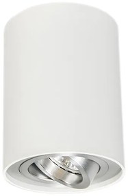 Modern fehér acél forgó és dönthető spotlámpa - Rondoo Up