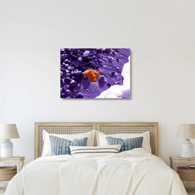 Kép - Tengerpart (üvegen) (70x50 cm)