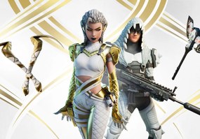 Fortnite poszter, Fortnite