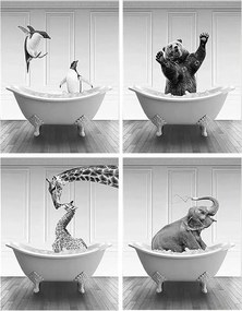 Vászon fali poszter keret nélkül 4db 50x70cm Állat minta