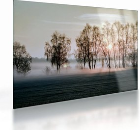 Kép - reggeli szárazság (üvegen) (70x50 cm)