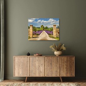 Üveg kép - Levendula ösvények (70x50 cm)
