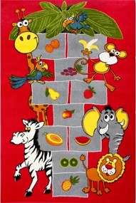 Kolibri szőnyeg 11120-120