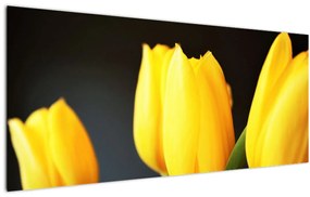 Tulipán képe (120x50 cm)