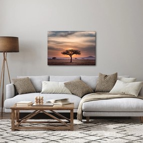 Naplemente képe Tanzániában (70x50 cm)