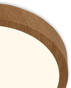 Brilo - LED Mennyezeti lámpa RUNA LED/12W/230V