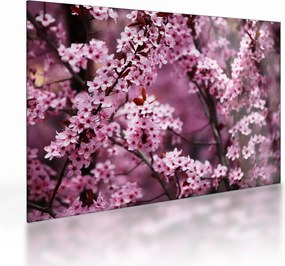 Üveg kép - Rózsaszín sakura (70x50 cm)