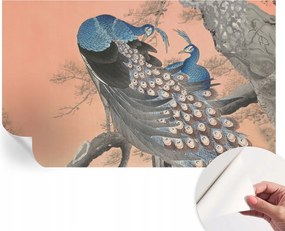 Dekoratív öntapadós fotótapéta páva elegancia 416x254 cm