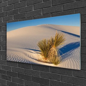 Üvegfotó Fekvő sivatagi homok 120x60cm