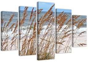 Gario Vászonkép Nádas a tengerparton - 5 részes Méret: 100 x 70 cm