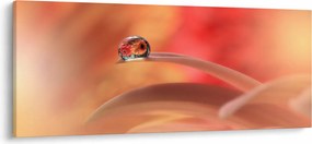 Virágos harmatcsepp képe (120x50 cm)