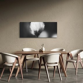 Kép - Fekete-fehér pamutfű (120x50 cm)