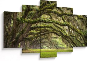 Kép - Oaks Avenue, Charleston, Dél-Karolina, Egyesült Államok (150x105 cm)