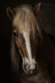 Fotográfia Sapience, Martine Benezech