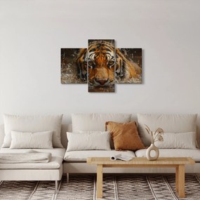Kép - Portré egy tigris a vízben (90x60 cm)