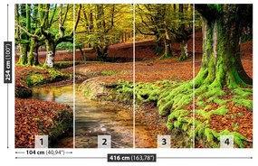 Fotótapéta erdő ősszel 104x70 cm