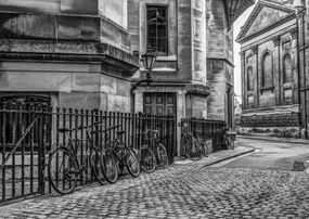 Poszter 84x59,5cm Kerékpårok a jårdån, Assaf Frank