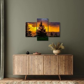 Kép - tűlevelűek (90x60 cm)