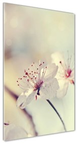 Egyedi üvegkép Cseresznye virágok osv-102906126