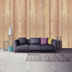 Fotótapéta - Textúra - fa deszkák (152,5x104 cm)