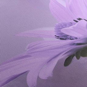 Kép - Ibolya virág (90x60 cm)