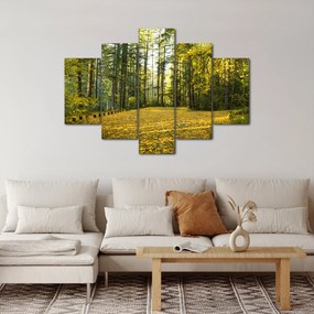 Kép - erdő ősszel (150x105 cm)