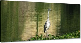 Vászonkép 180x90 Kalapos madár Tájkép Kilátás