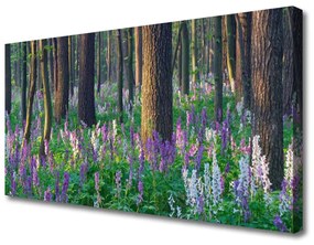 Vászonkép Erdei fák Természet 100x50 cm