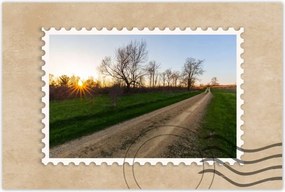 Poszterek 60x40 Mezei út Fák Mezők